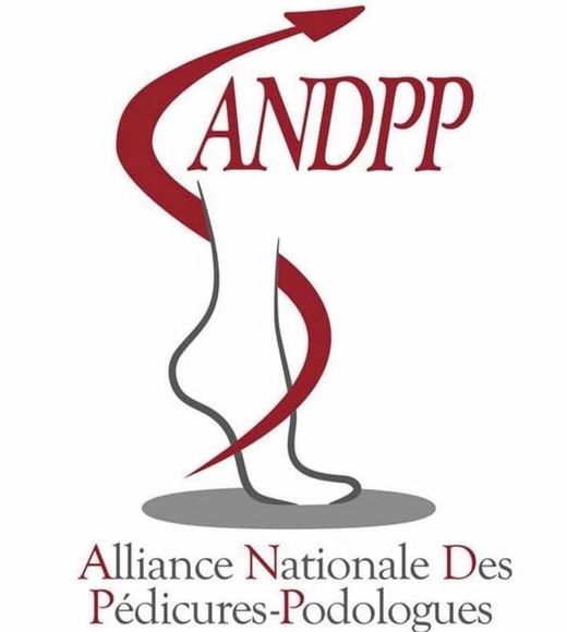 Logo Syndicat ANDPP